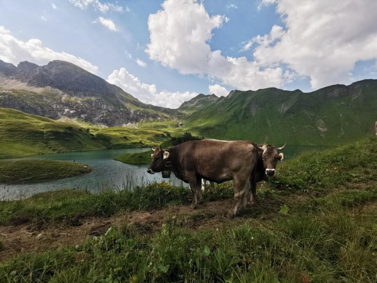 Ferienwohnung Wiesenblick Bad Hindelang Exteriör bild